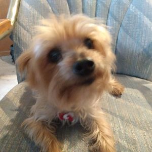 Meet your Posher, Paul